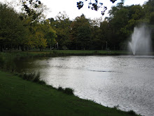 vondelpark - the garden