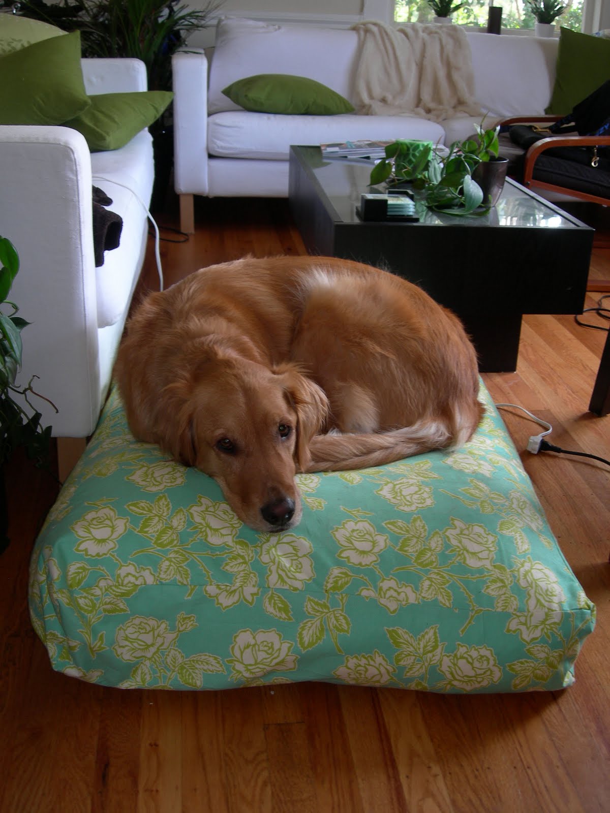 Cloth and Cake Beanbag dog bed