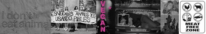 :: veganismo :: etc