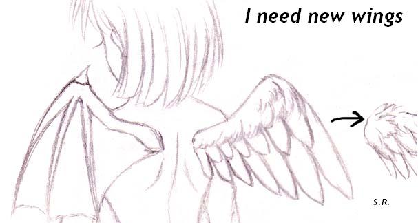 I need new wings