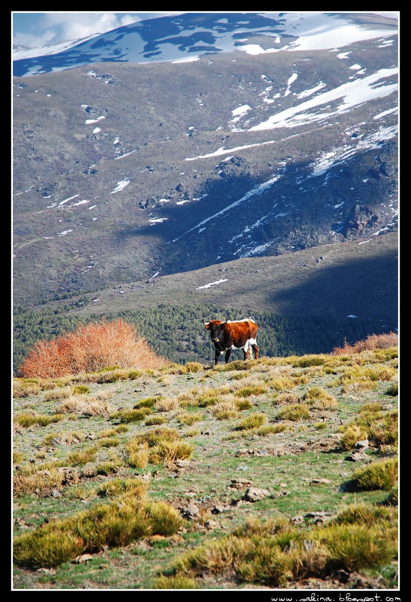 [DSC_0135.JPG]