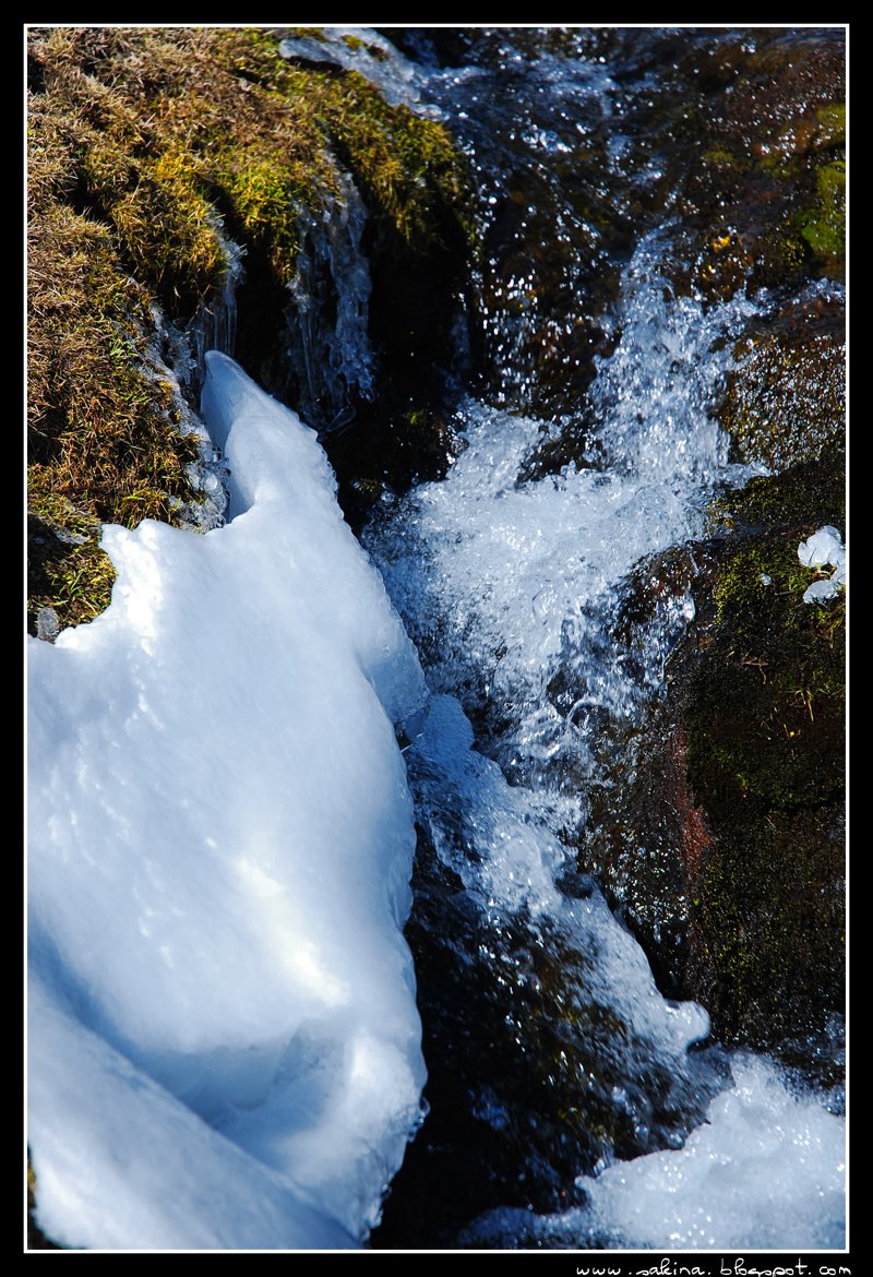 [DSC_0045.JPG]