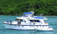 Dive the Virgin Islands with SHINING STAR - Paradise Connections Yacht Charters