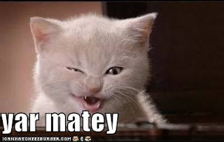 http://joanhascheezburger.com/ Pirate kitten