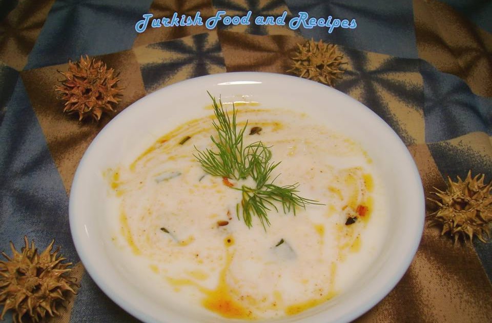 Turkish Food and Recipes Green Onion Yogurt Dip (Yesil Soganli Yogurt)