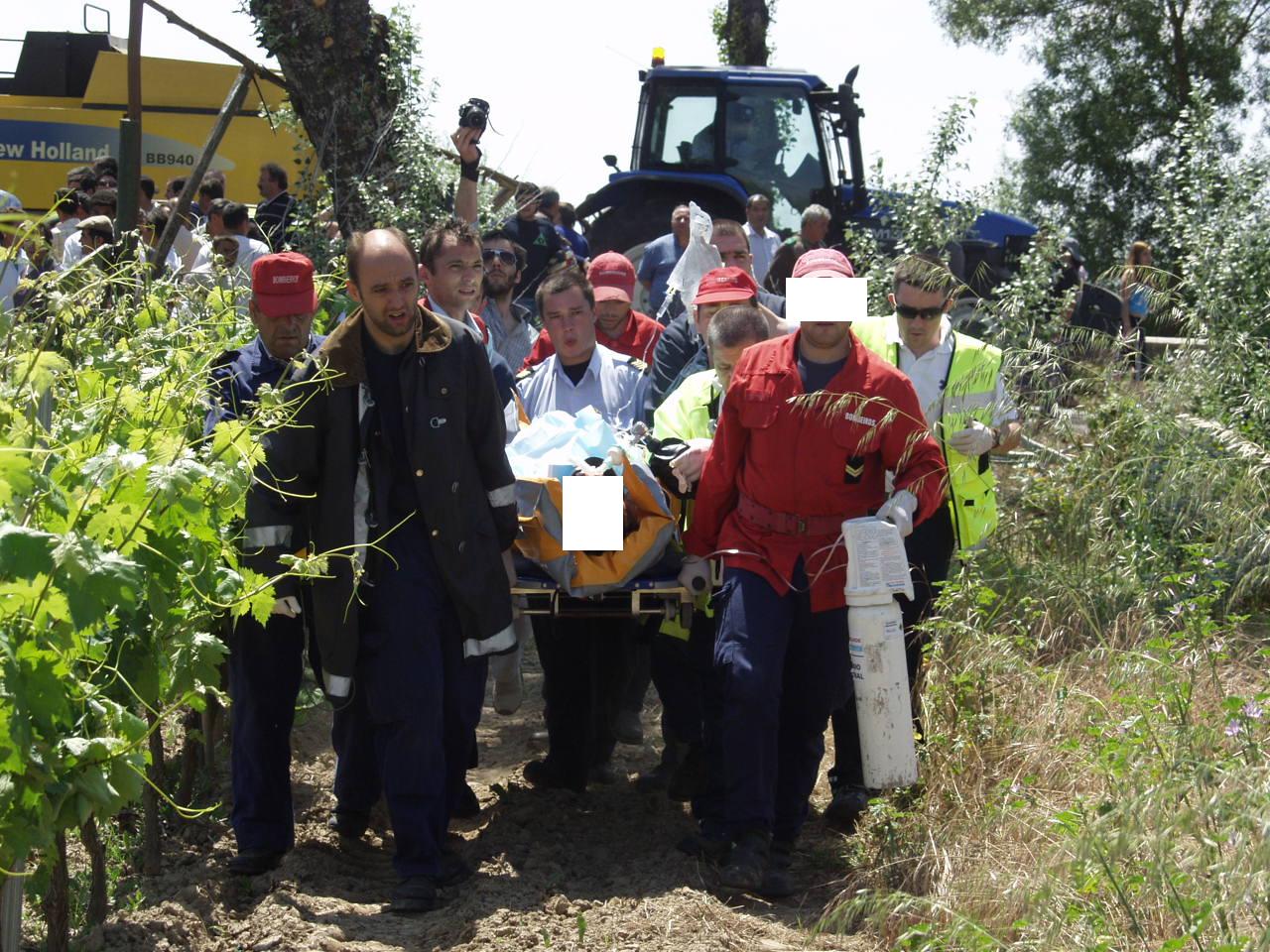 [P5118928tratada.JPG]