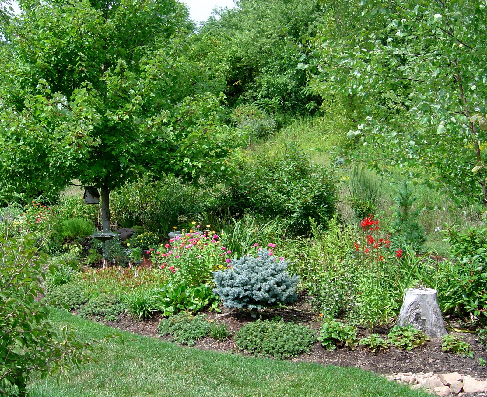 W W Nursery Landscaping August 2015