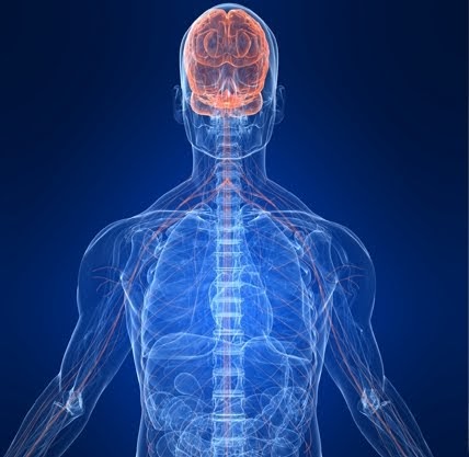 Educated Bodybuilder - Knowledge is Power: Forget Your Routine?