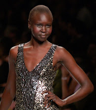 Supermodel Alek Wek