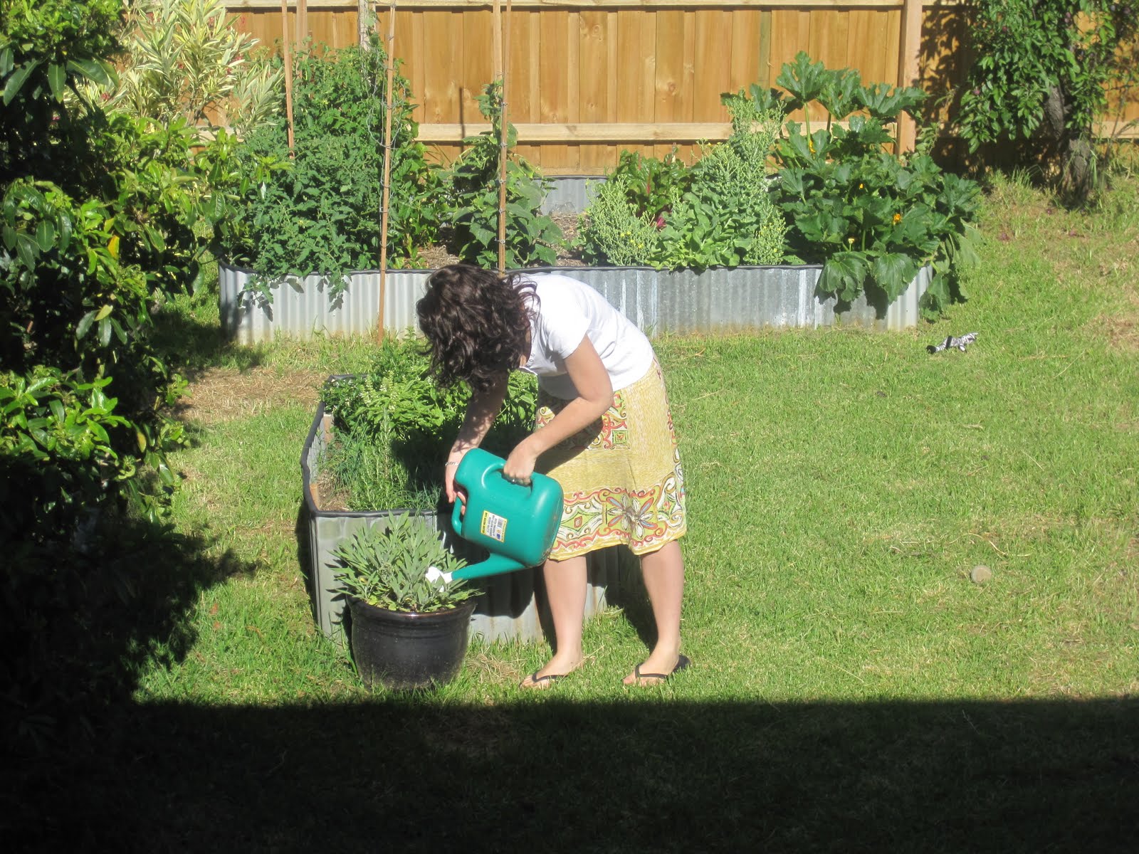 Garden Shed: Welcome to the jungle!