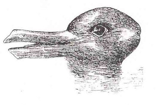 [Duck-Rabbit_illusion.jpg]