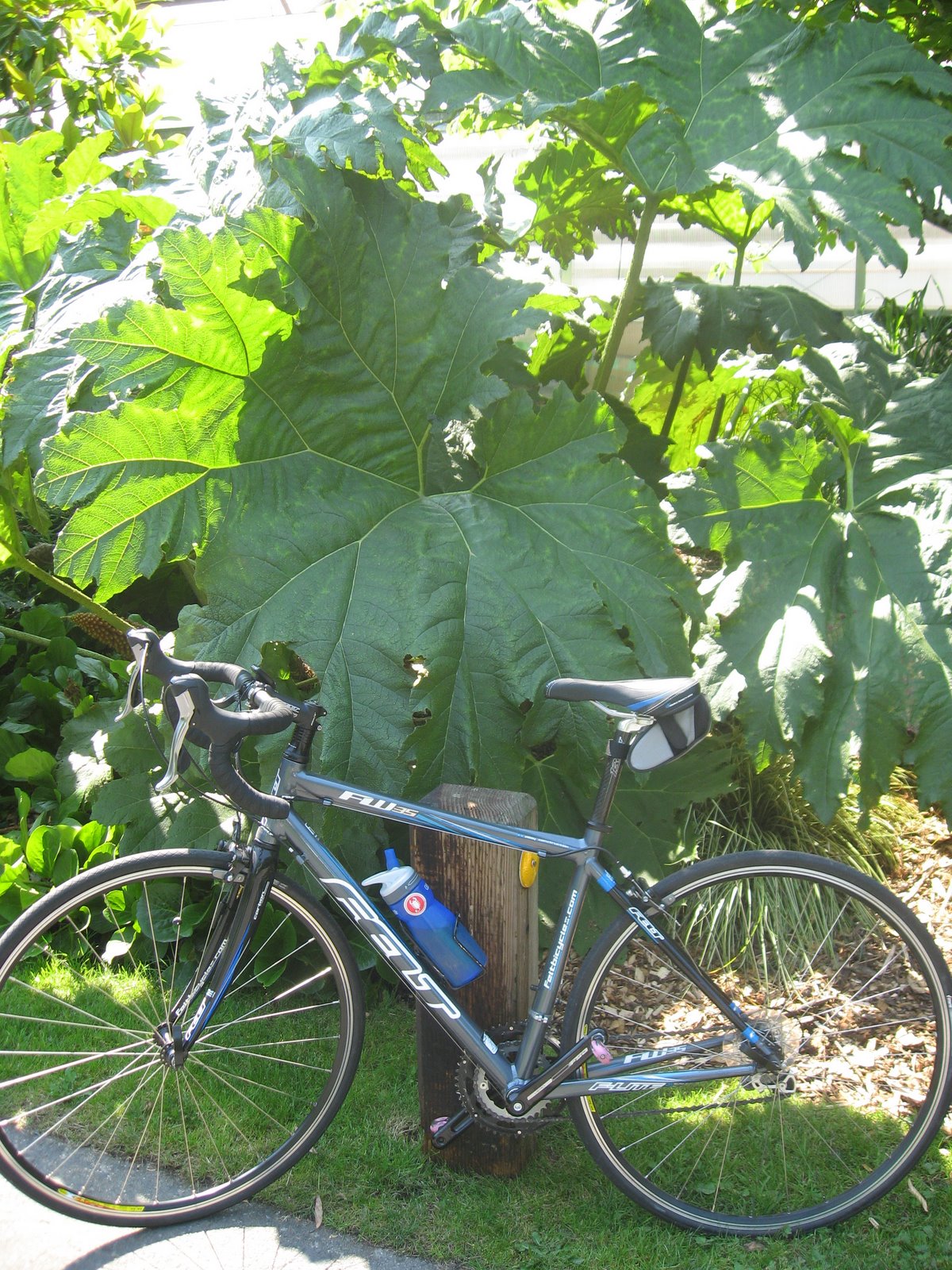 [Cycling+to+the+Arboretum+010.jpg]