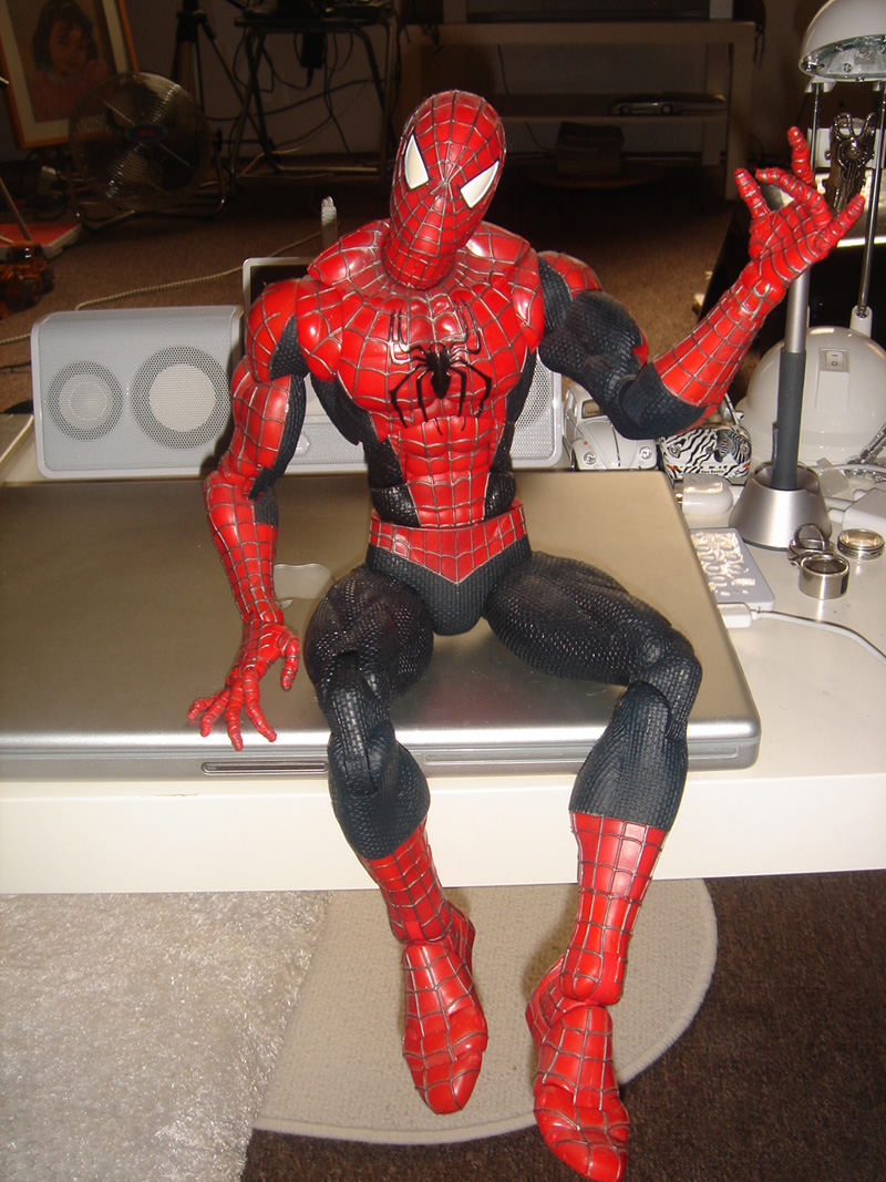 [Spidey1.JPG]