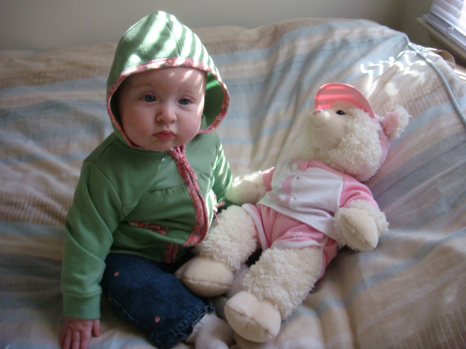 [DSC06084.JPG]
