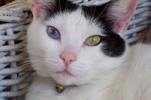 I am Iris and fabulously in charge!