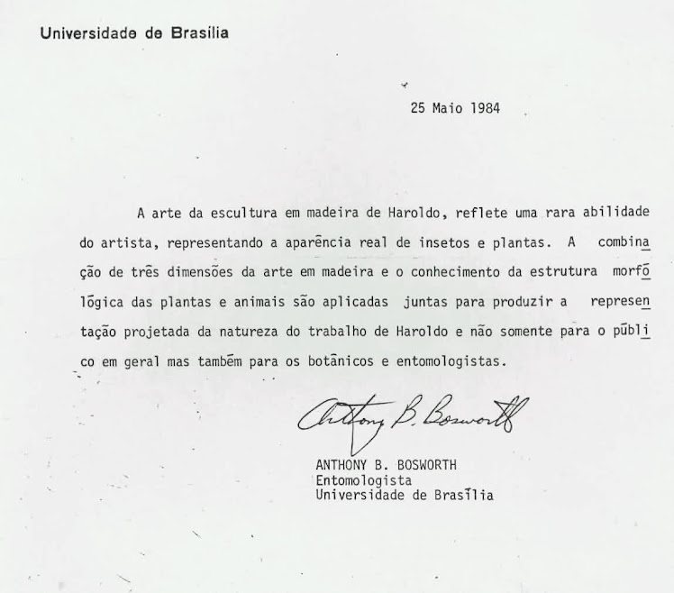 PARECER DE ESPECIALISTA