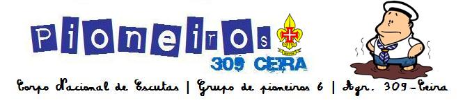 Pioneiros do 309