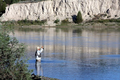 Jack Mauer wade fishing in the Flathead River south of Polson - fish on, rod tip up!