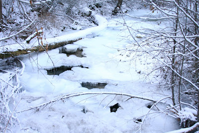 Ice on Sweathouse Creek just above a culvert