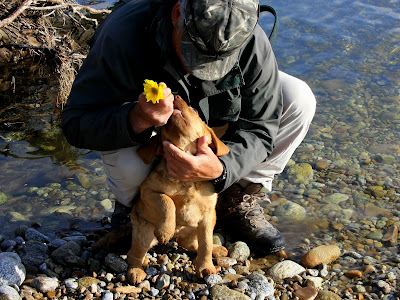 Tucker Crossing on May 3