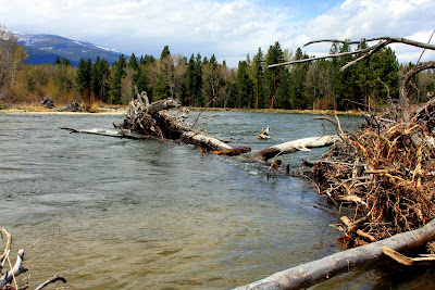 Bitterroot River and Valley Weather