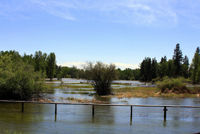 Update on Bitterroot River flows at Victor Crossing