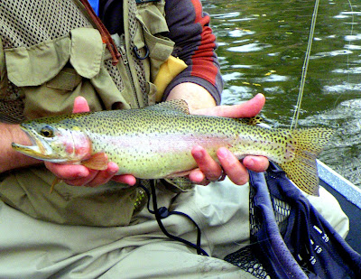 Tommy with his trout