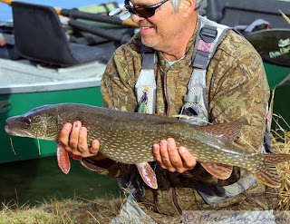 Jack with a northern pike