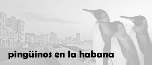 pingüinos en la habana