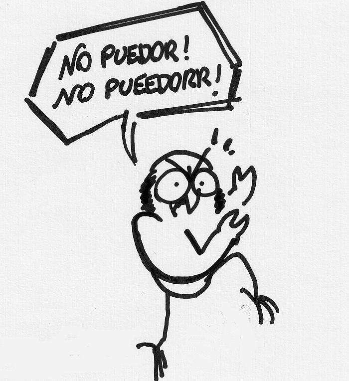 [chiquito.bmp]