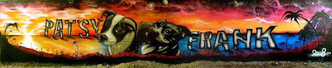 wall (2008) spray paint, panorama