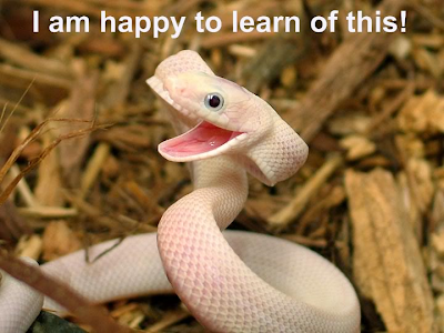 happy+snake.PNG