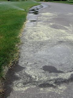 pollen on the driveway