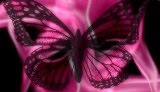 ♥★♥♥★♥♥★♥♥★♥♥★♥