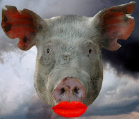 lipstick on a pig