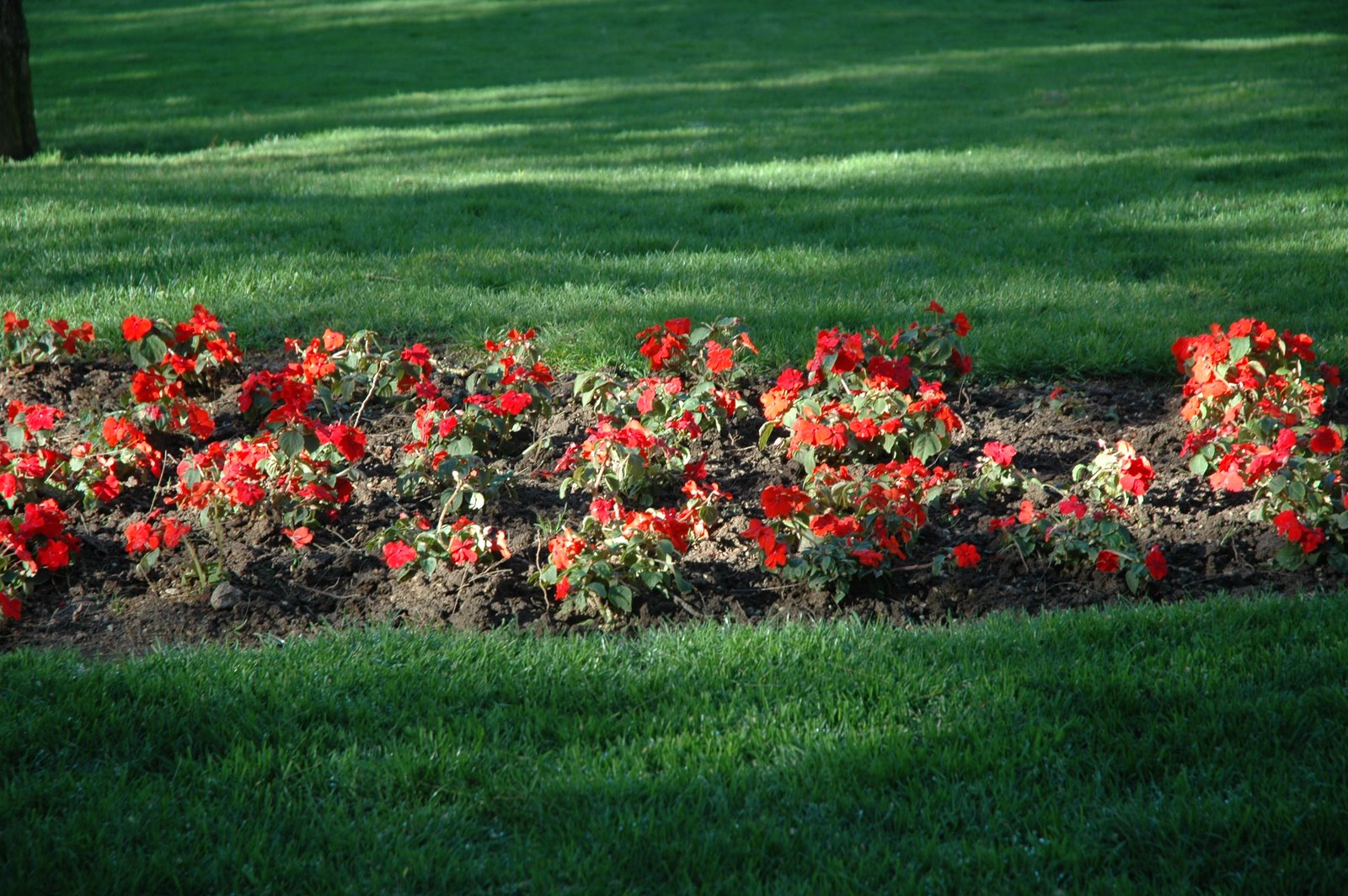 [2008-04-01+(3).JPG]