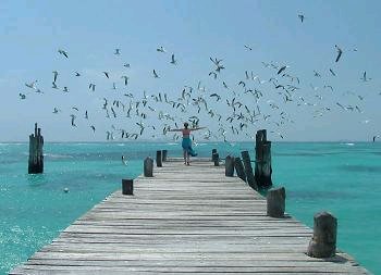 [0+Pacto+da+Felicidade.bmp]