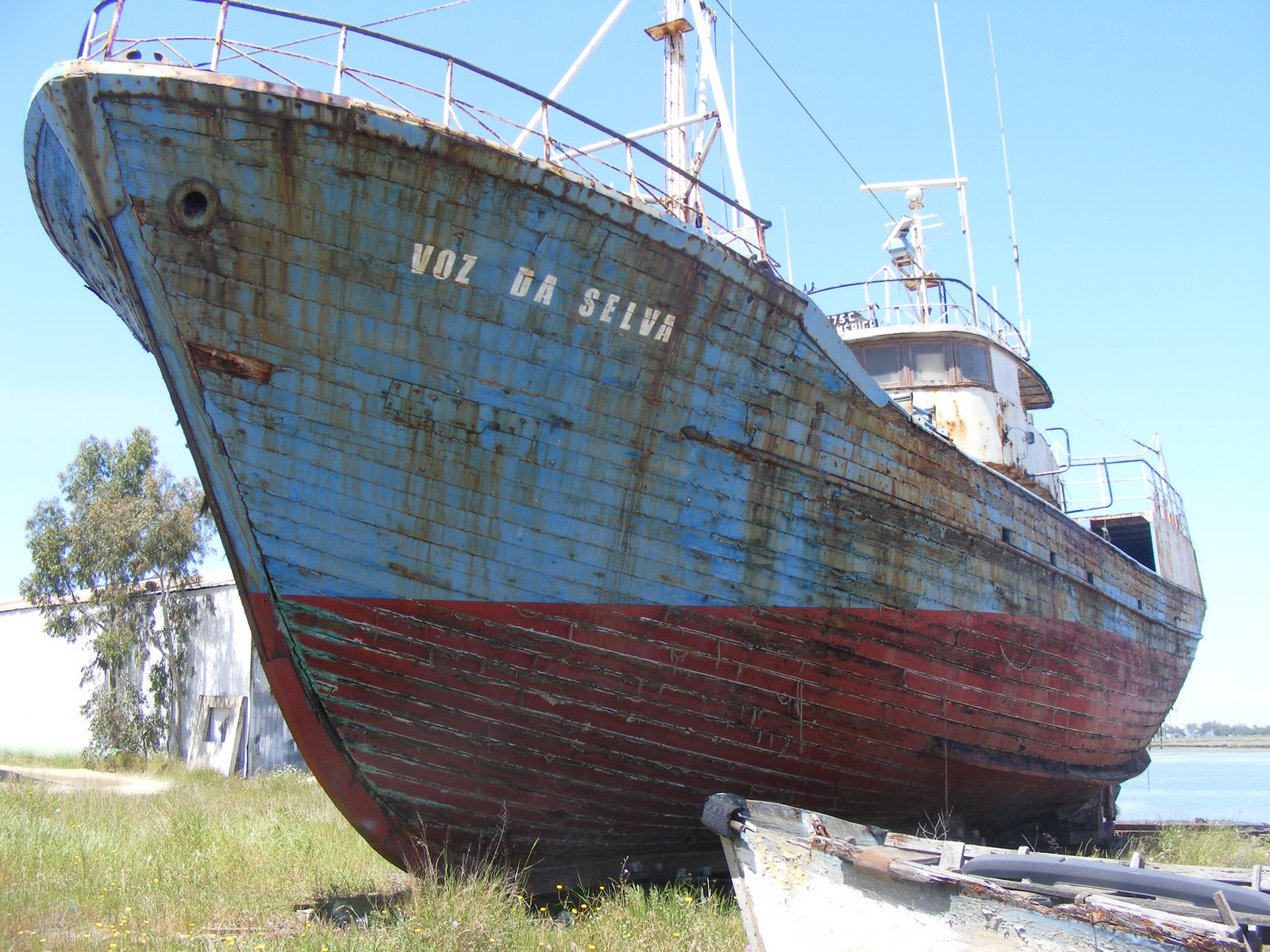 [Talminho_Seixal_25Abril2008.JPG]