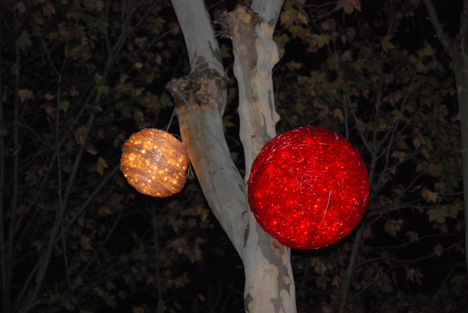 [2009-12-22+RSP+093.jpg]