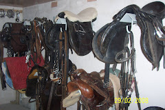 Interno della selleria