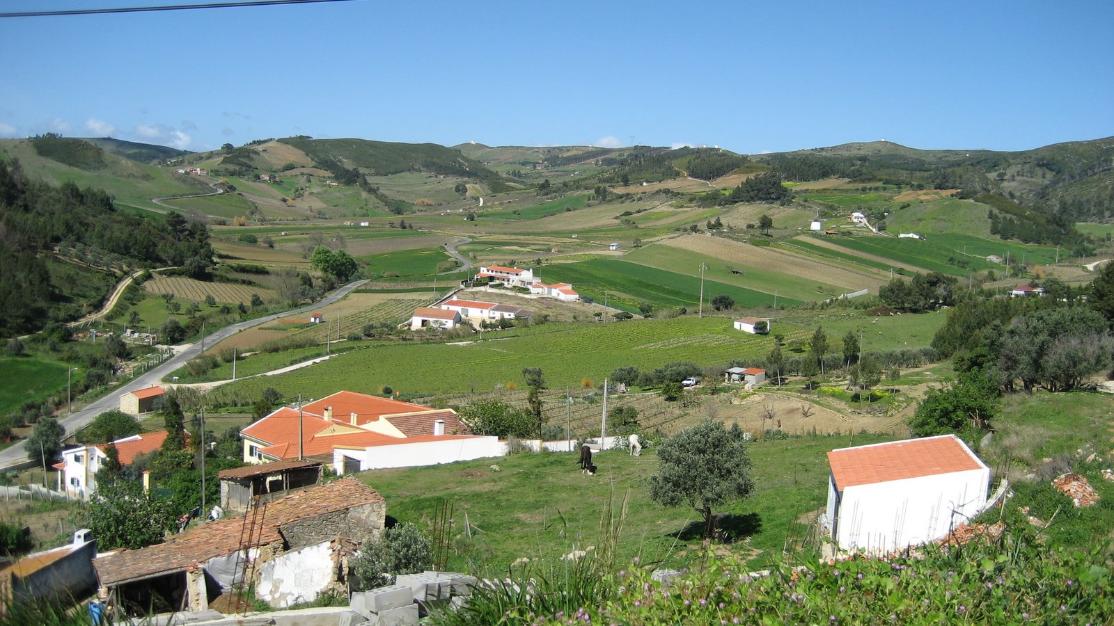 [IMG_0097.JPG]