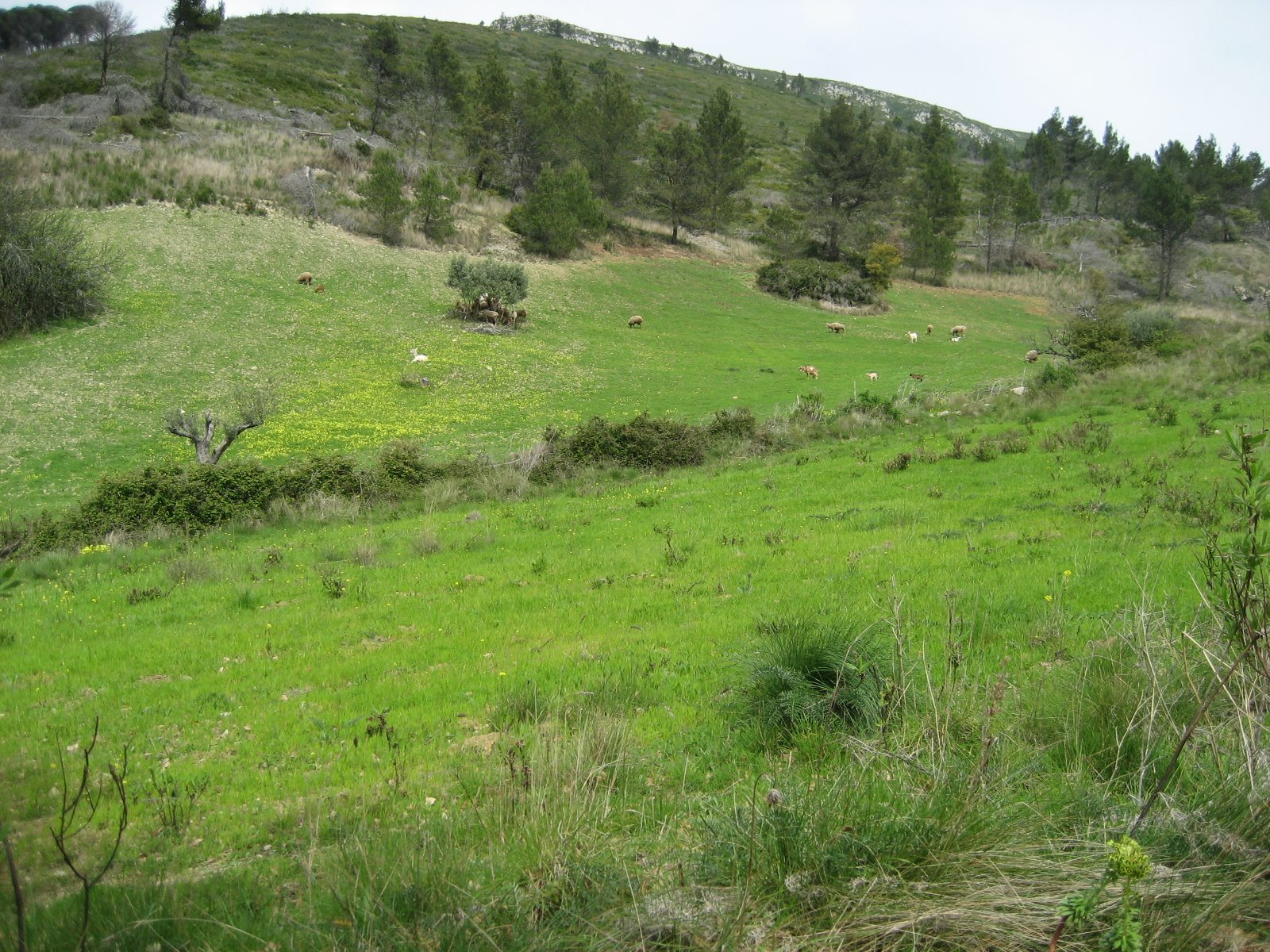 [IMG_1830.JPG]