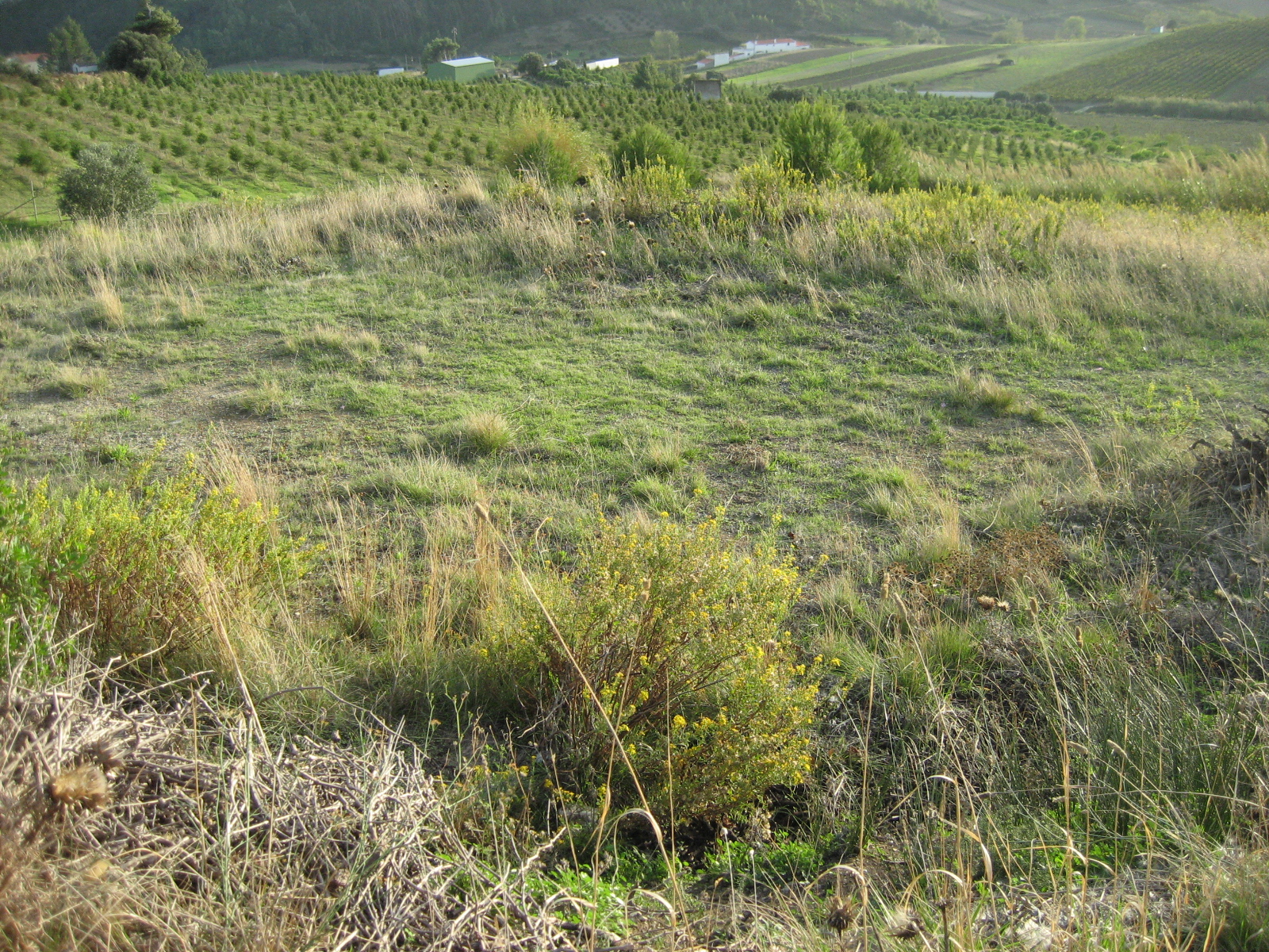 [IMG_0819.JPG]