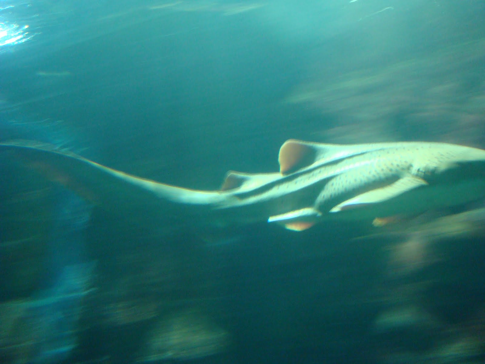 [DSC02675.JPG]