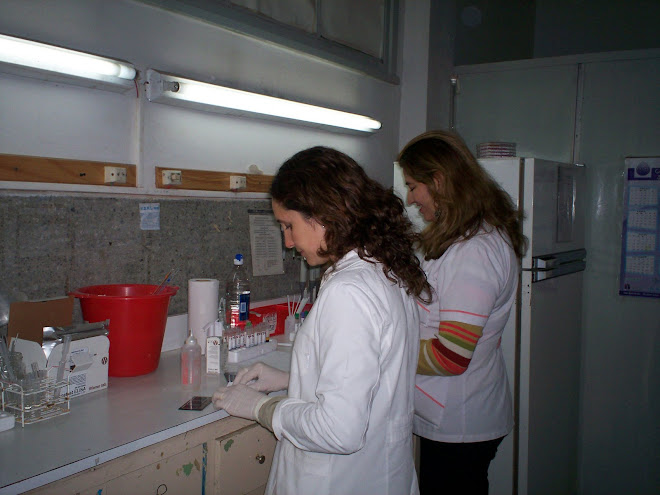 área inmunoserología