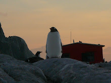 Petermann Island Antarctica Winter 2008