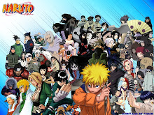 naruto serie 220/220