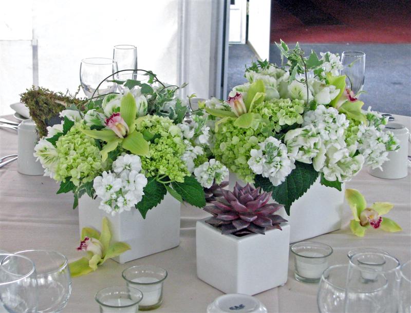 In the centerpieces we used Green Hydrangea white Stock green and white 