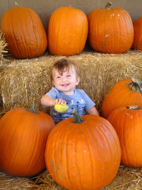 [pumpkins.JPG]