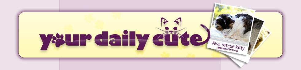 Your Daily Cute